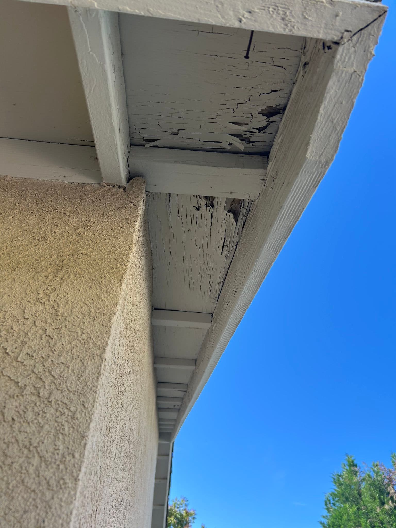 Gallery photos for Peeling Fascia and Failing Underlayment on This Tile Roof Repair: Image #4