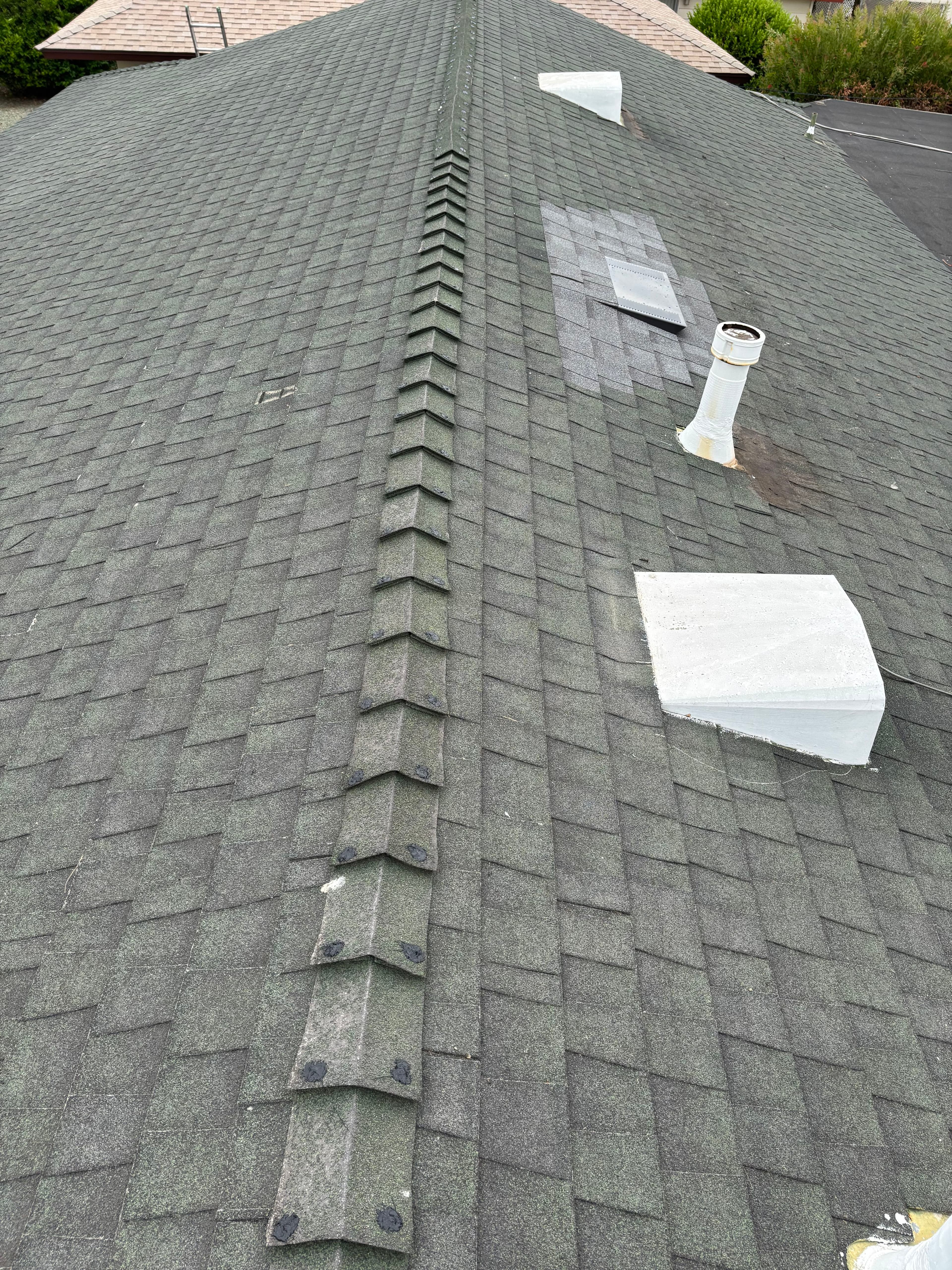 Project Attic Fan Removal, O'Hagin Vent Install, and Shingle Repairs Done Right image