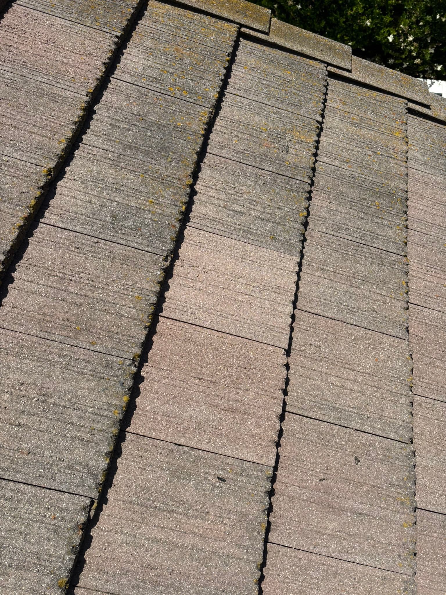 Gallery photos for One Broken Tile Is Never Just One Problem: Image #2