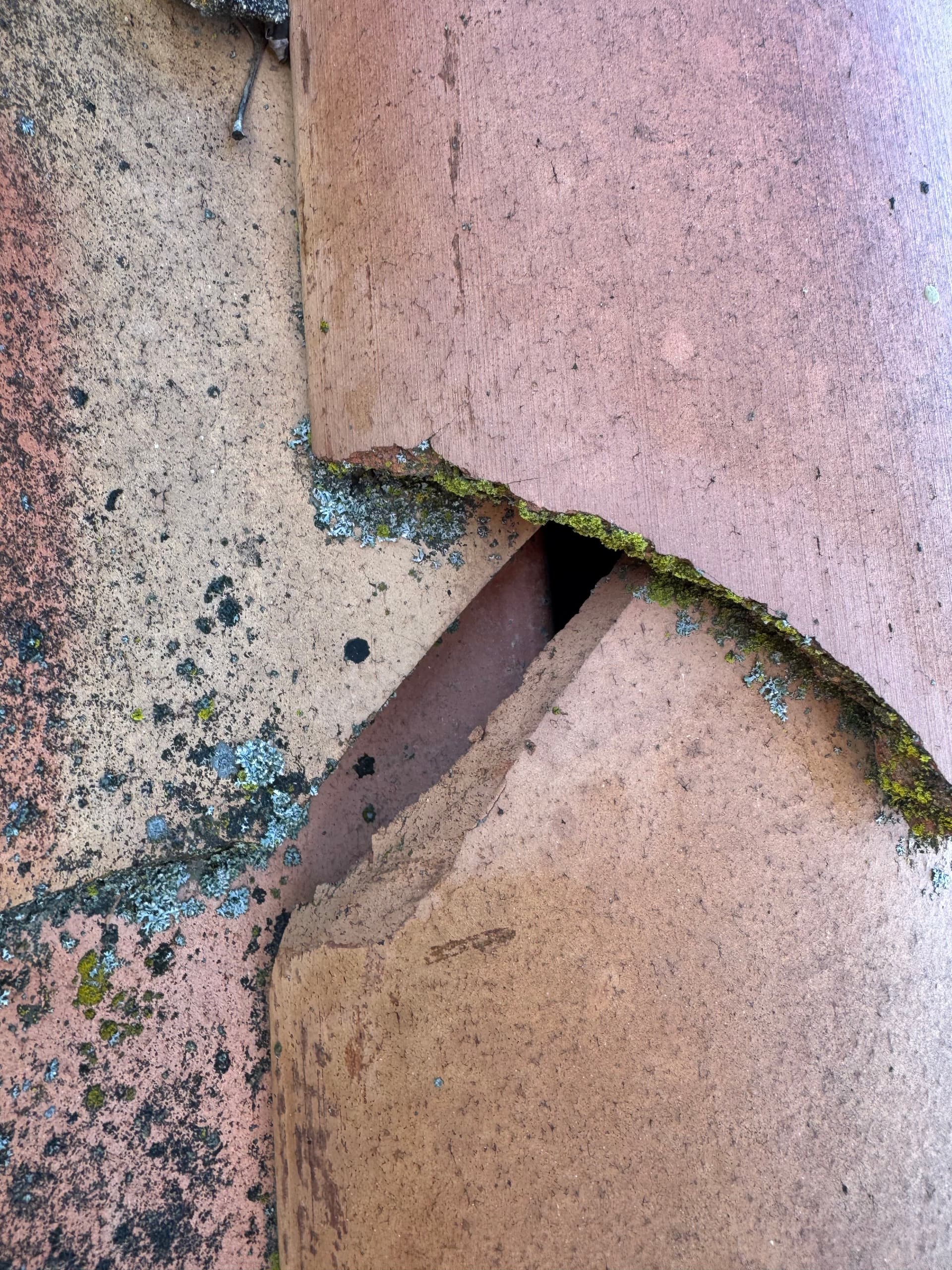Gallery photos for Why Tile Roof Inspections Catch Problems Before They Get Expensive: Image #5