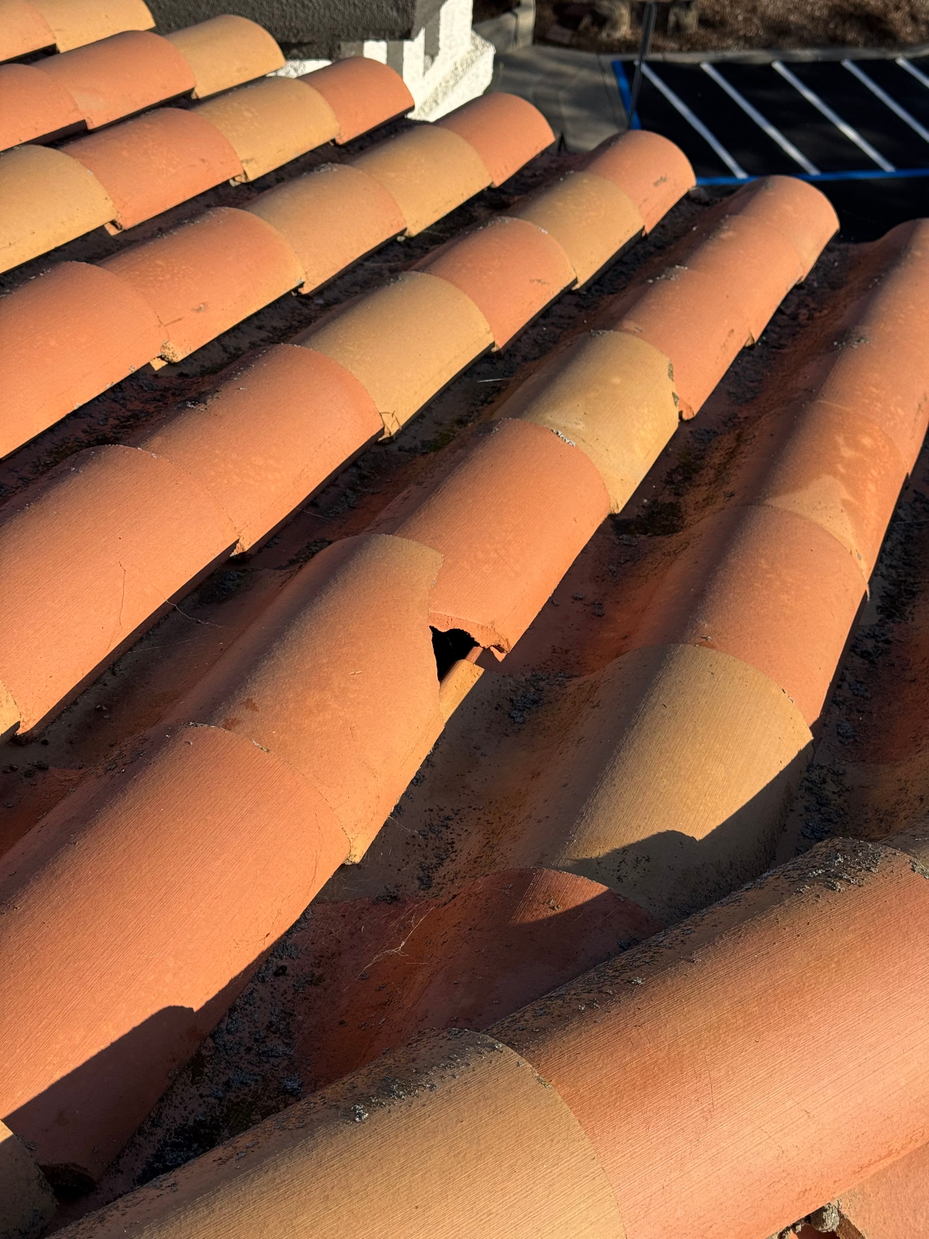 Project Why Tile Roof Inspections Catch Problems Before They Get Expensive image