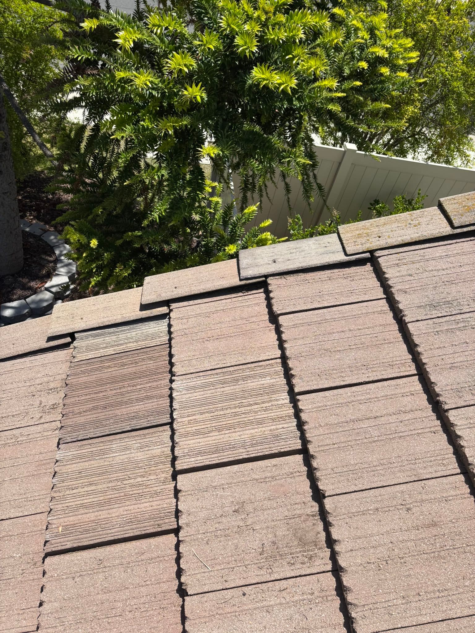 Gallery photos for One Broken Tile Is Never Just One Problem: Image #3