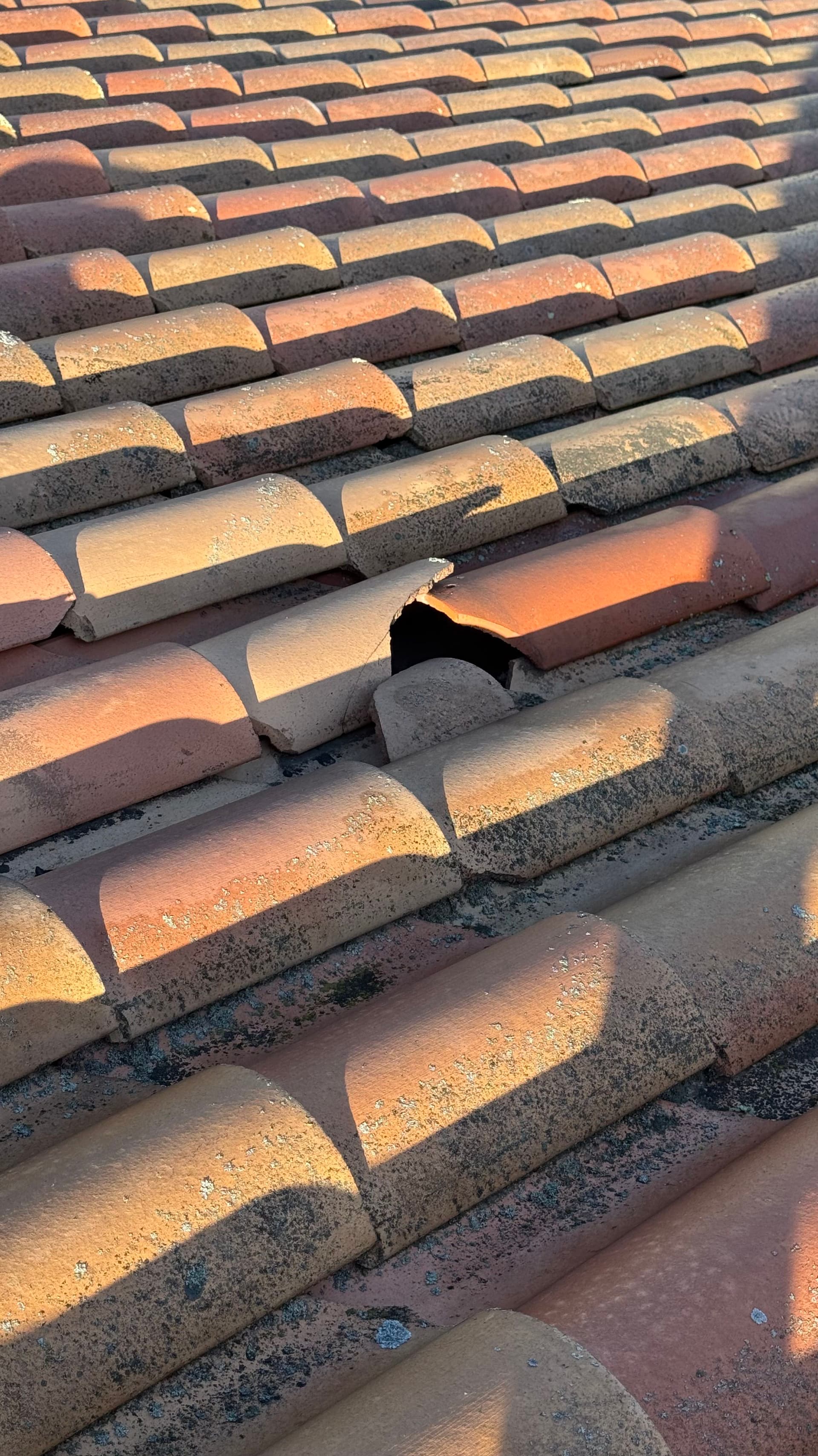 Gallery photos for Why Tile Roof Inspections Catch Problems Before They Get Expensive: Image #6