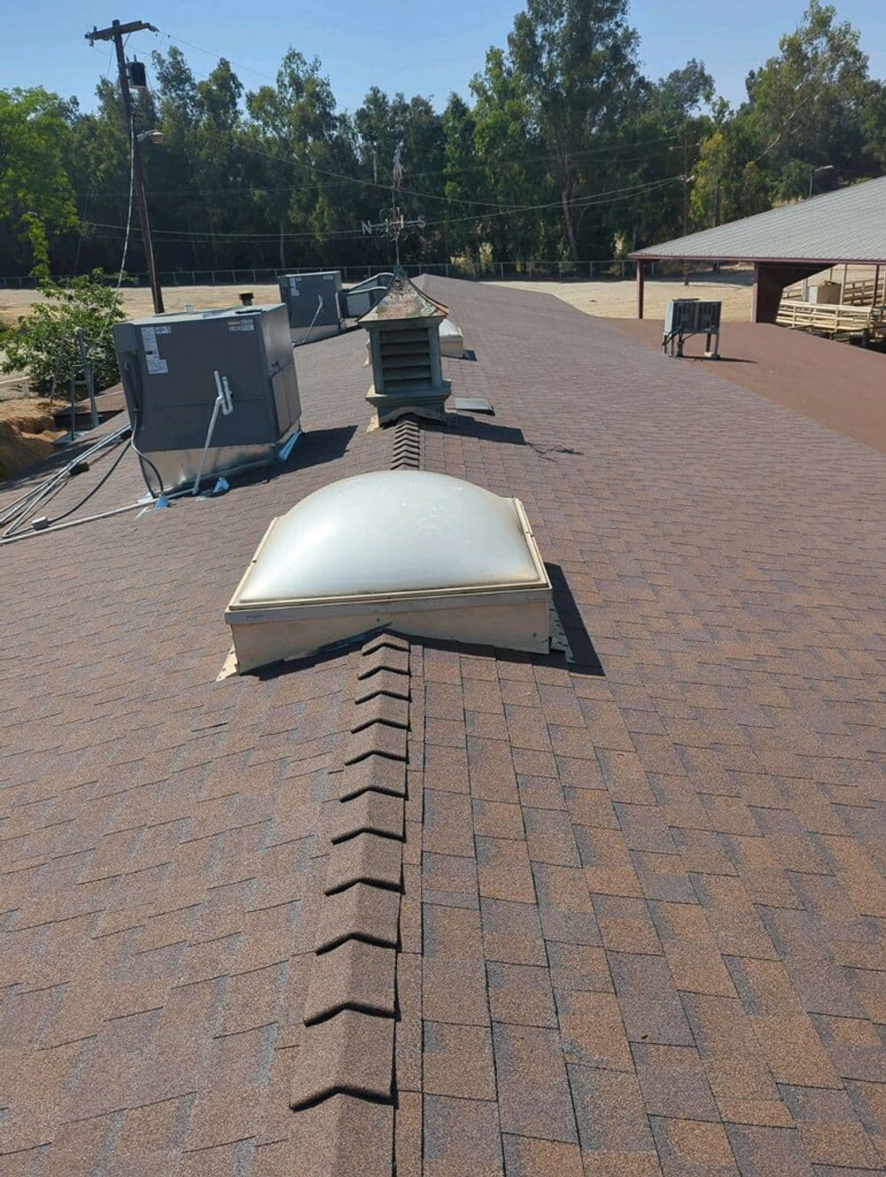 Roof with shingles, skylight, and ventilation on a sunny day surrounded by trees.