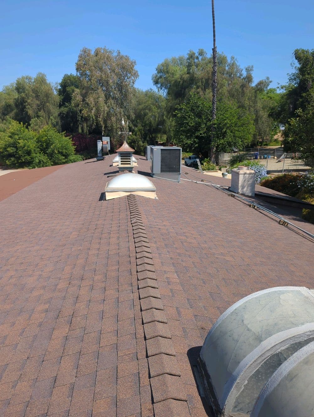 Roof with skylights and HVAC units, surrounded by trees under clear blue sky.