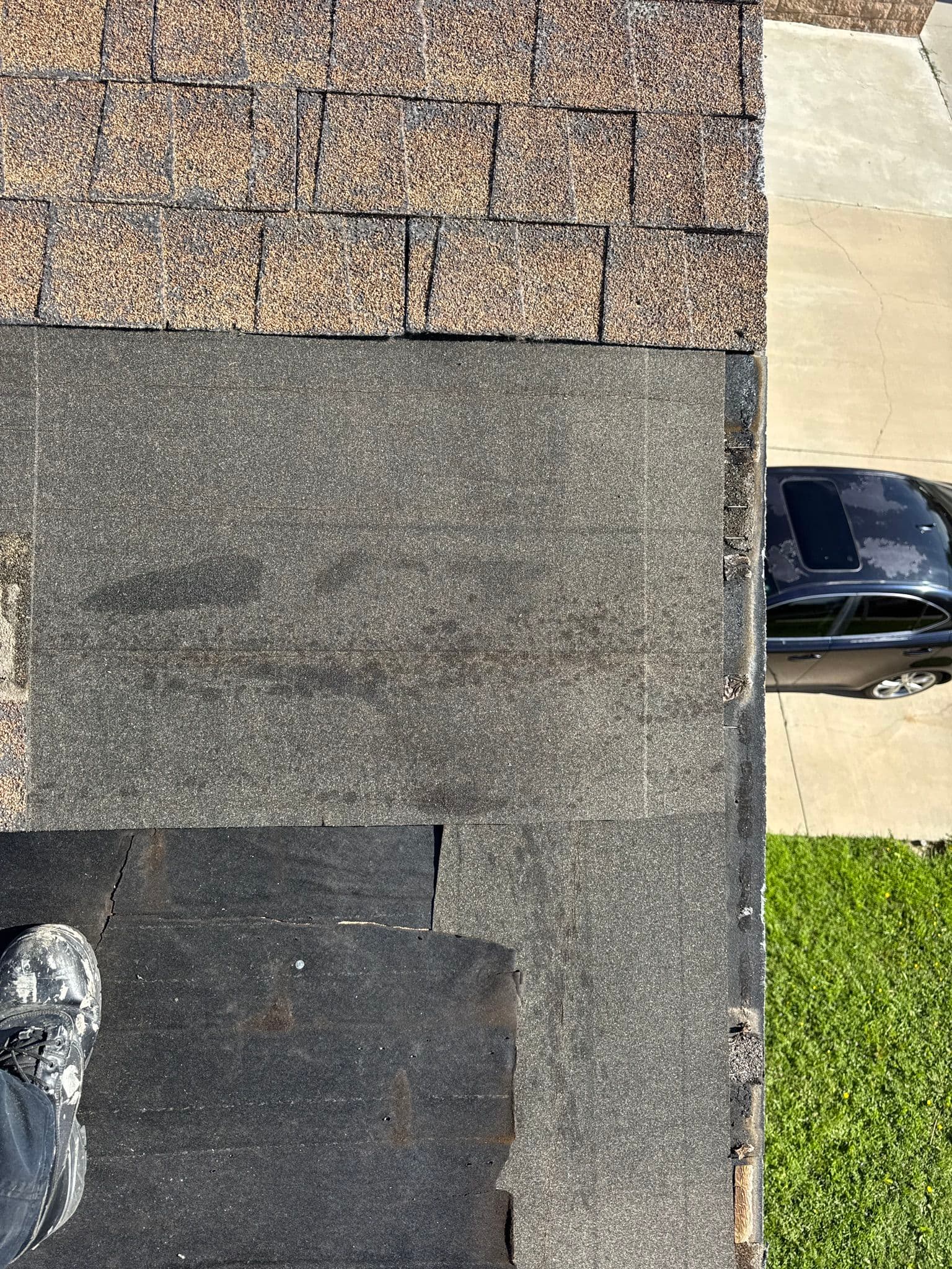 Gallery photos for Buckling Shingles Fixed Right Down to the Plywood: Image #2
