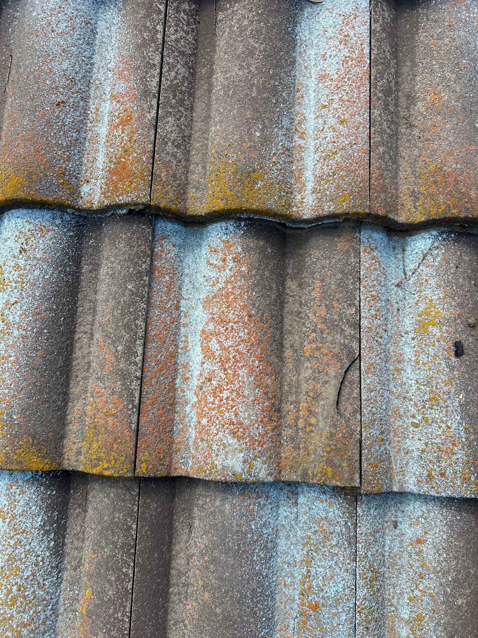 Leaky Skylights and Cracked Tiles - Here's What We Fix image