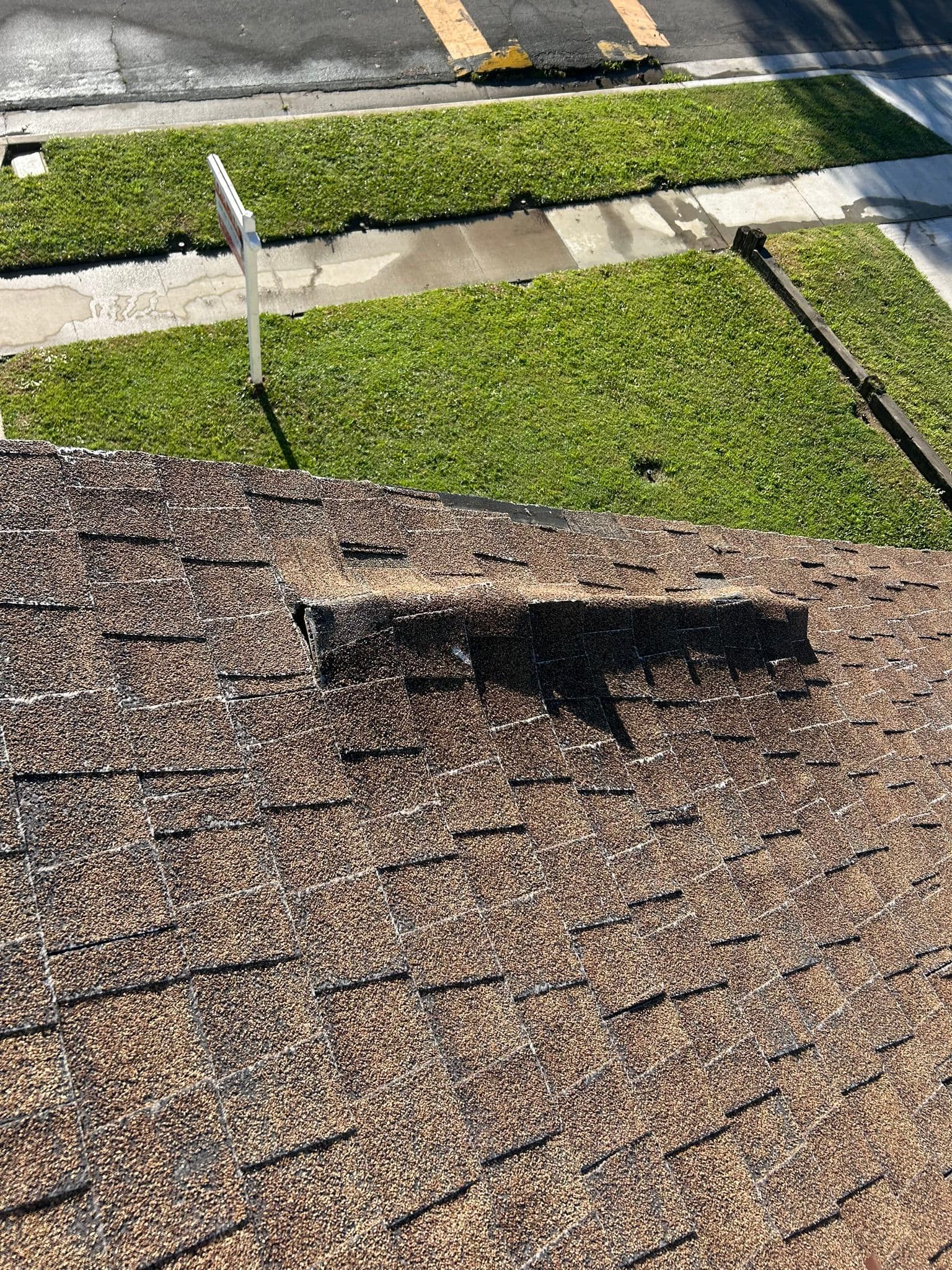 Buckling Shingles Fixed Right Down to the Plywood image