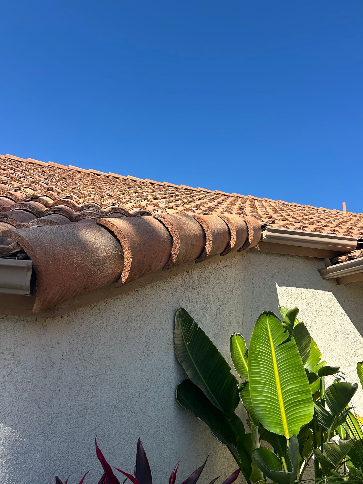 Gallery photos for Tile Roof Repair - Damaged Fascia, Decking, and Underlayment Replaced: Image #3