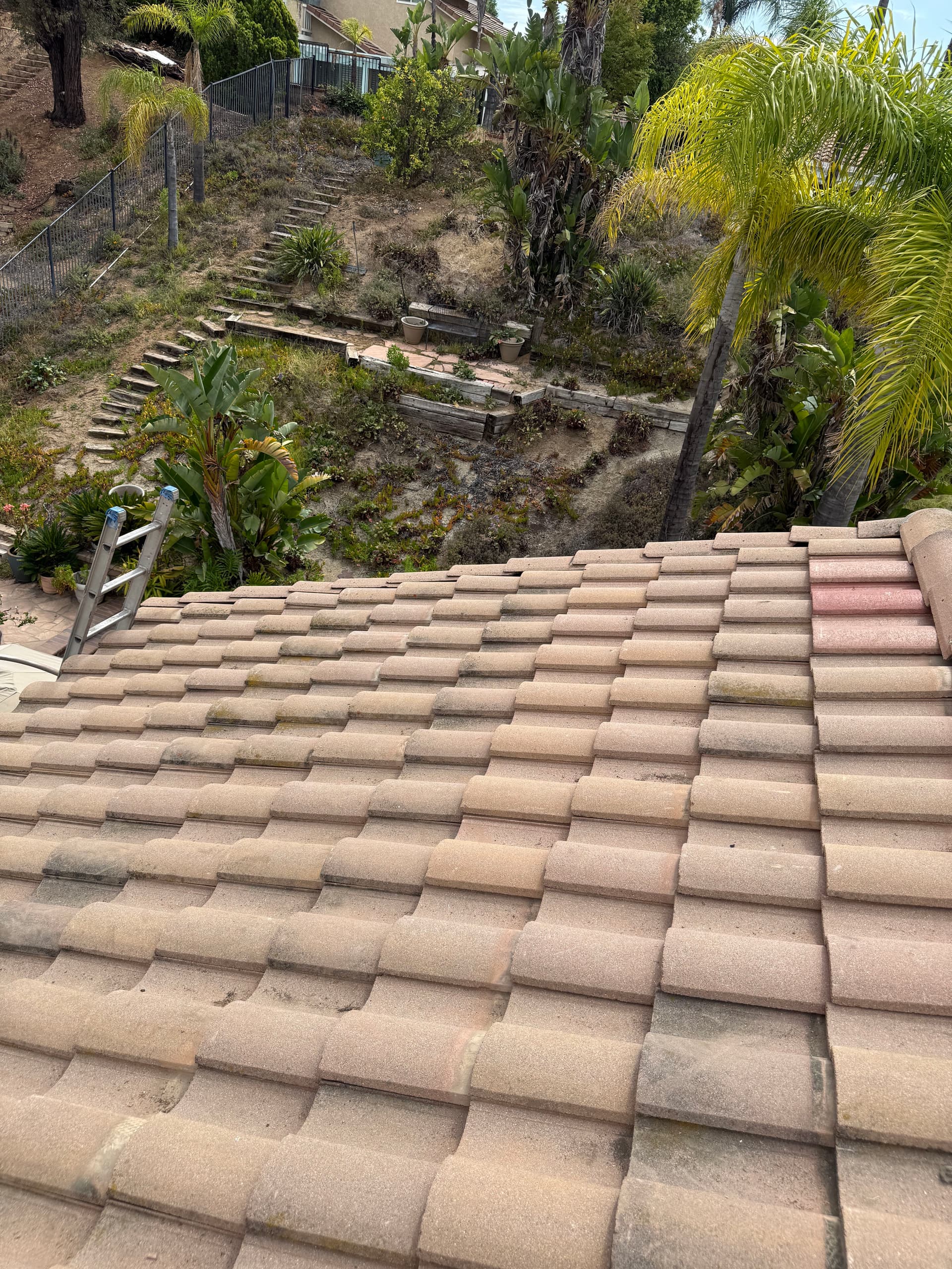 Gallery photos for What Water-Damaged Wood Under a Tile Roof Actually Looks Like: Image #5